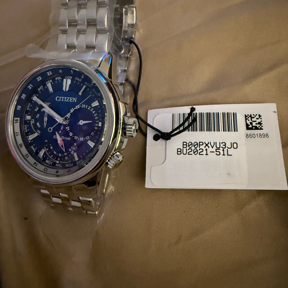 Citizen Silver and Blue Watch